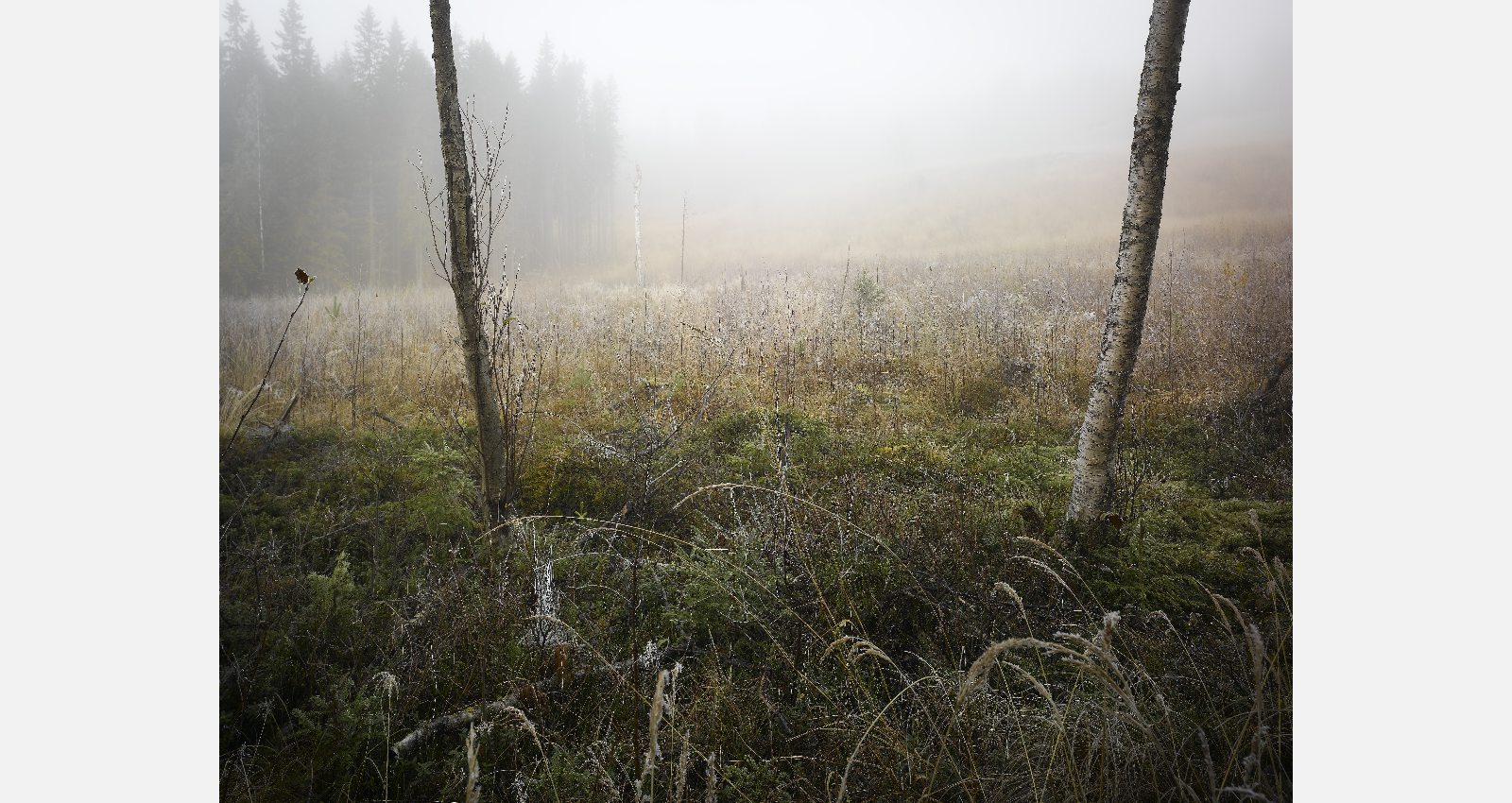 Diese Bilder entstanden im Herbst 2007 im Värmland in Schweden.